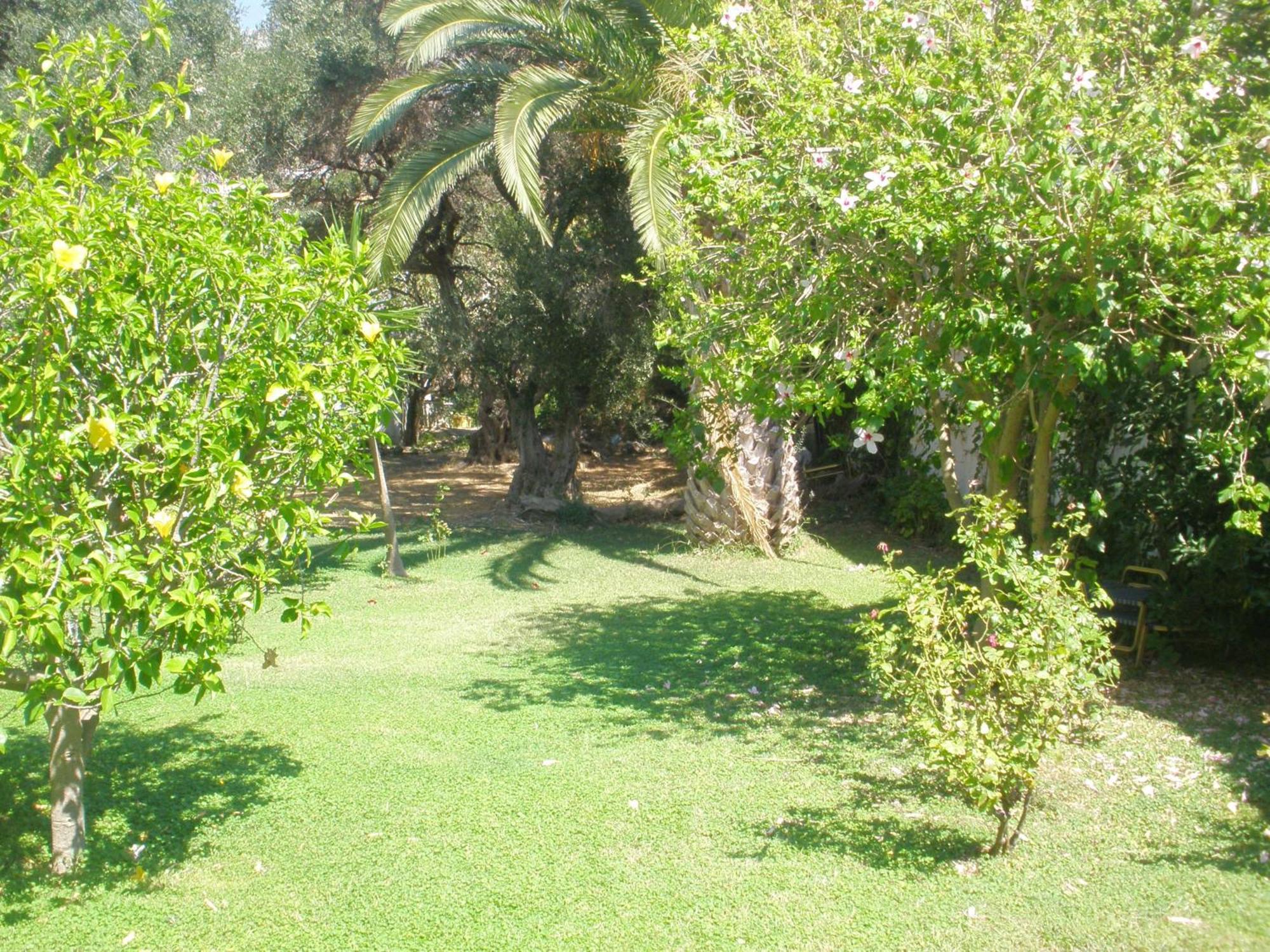 Livadi Apartments Plakias Exteriér fotografie