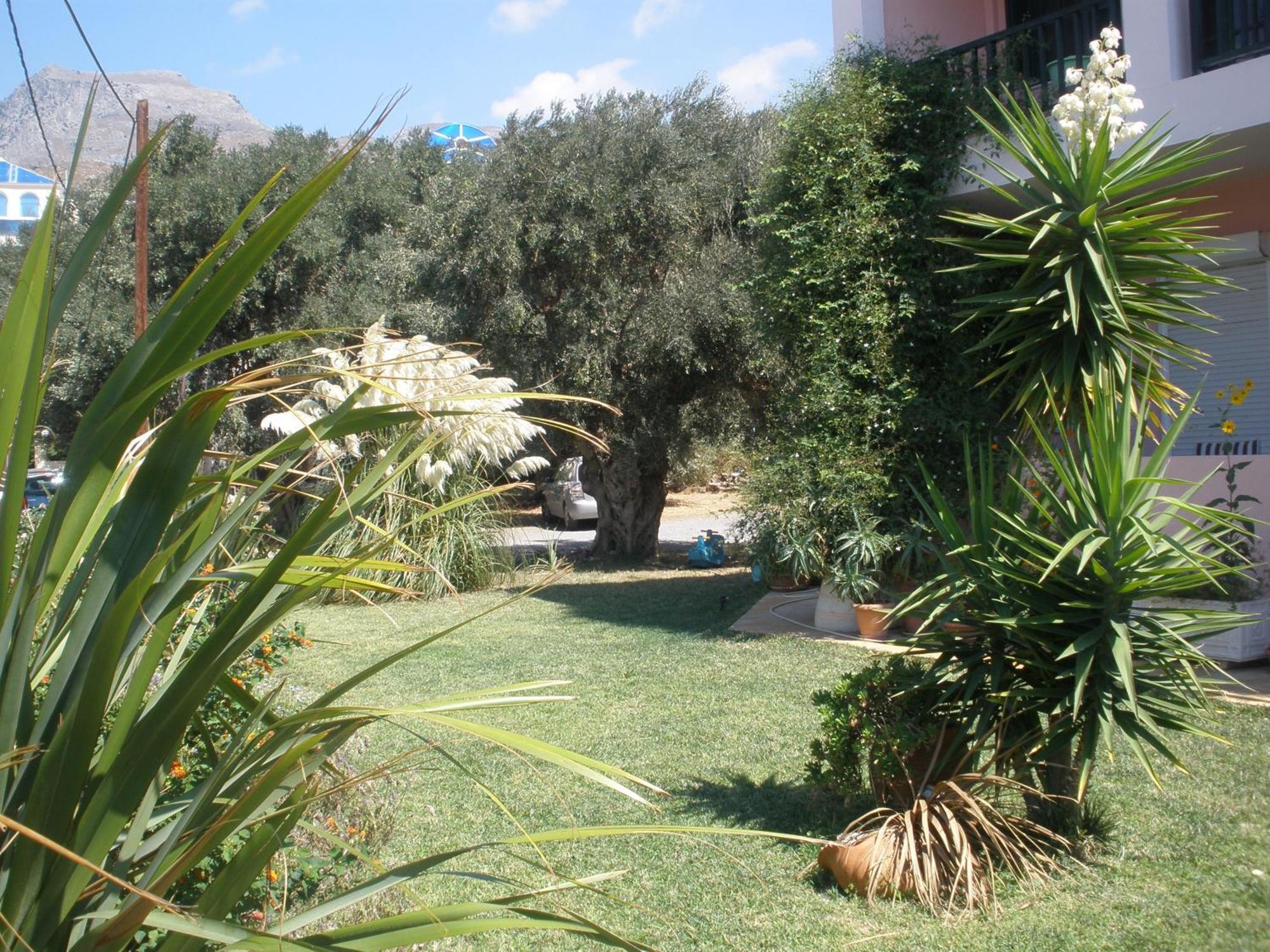 Livadi Apartments Plakias Exteriér fotografie